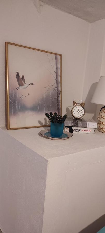 Apartment Loft Skg